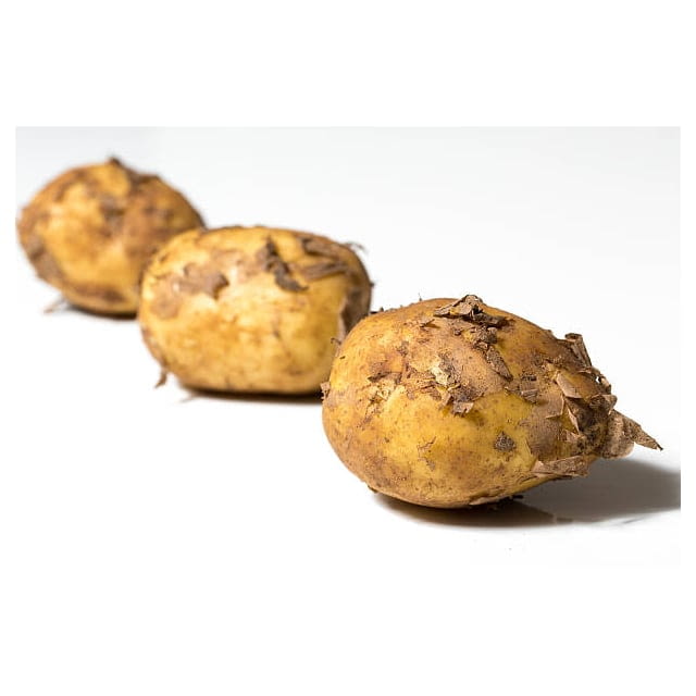 Jersey mids potatoes