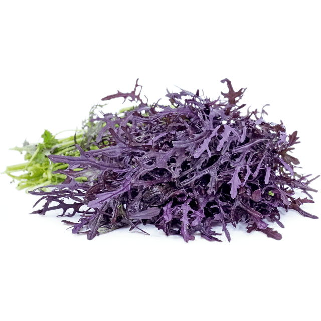 Red frills mustard