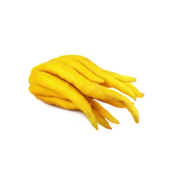 Citron de main de bouddha