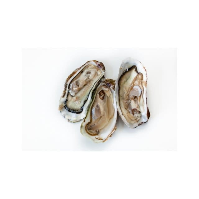 Huitres creuses N°3 sentinelle