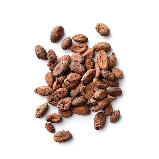 Cocoa bean