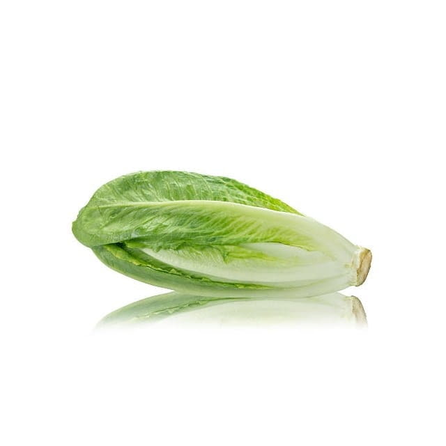 Artisan romaine