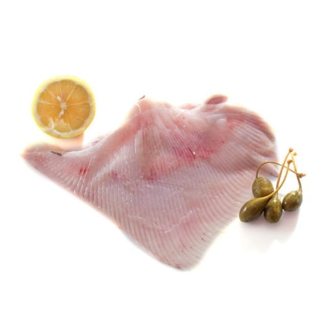 Aile de raie sans peau surgelé