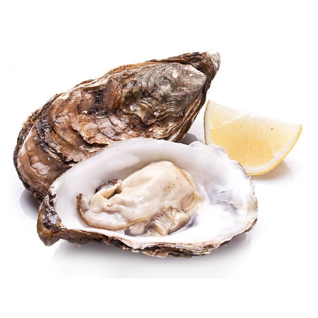 Kumamoto oyster
