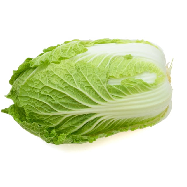 Napa cabbage