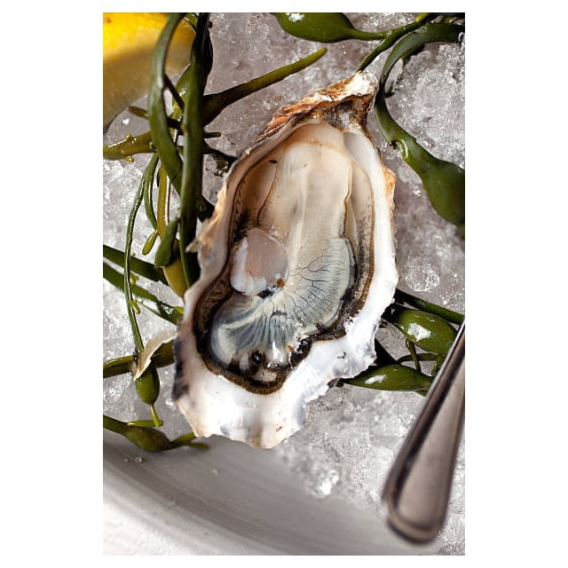 Shucked oyster CAL Large