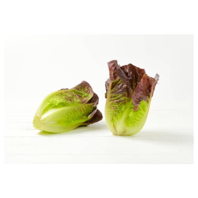 Baby red romaine