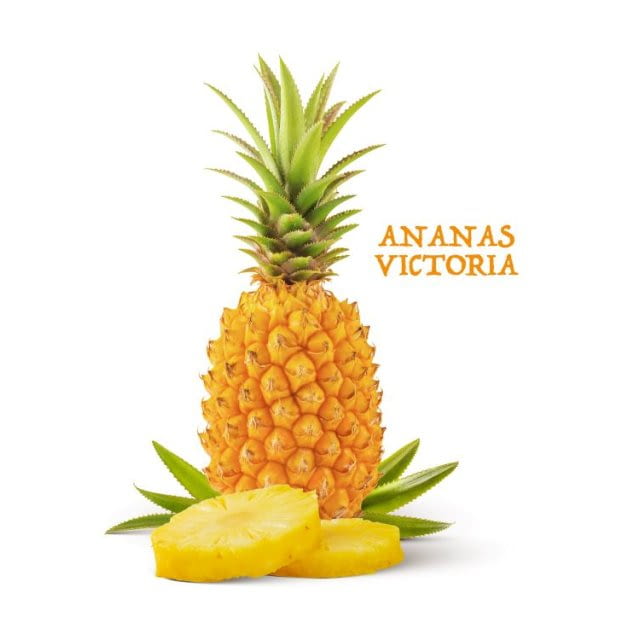 Ananas victoria