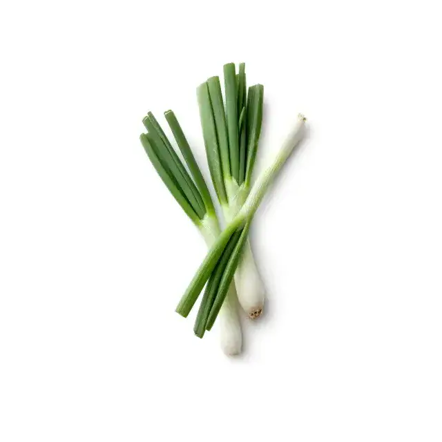 Oignon vert CAT Extra