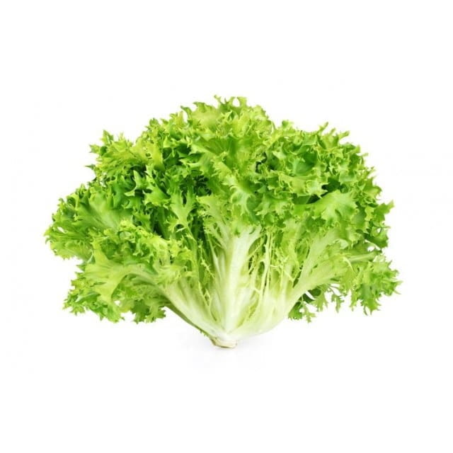 Lettuce lollo Biondo