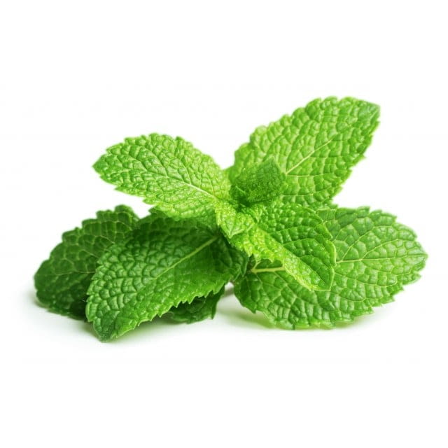 Micro mint