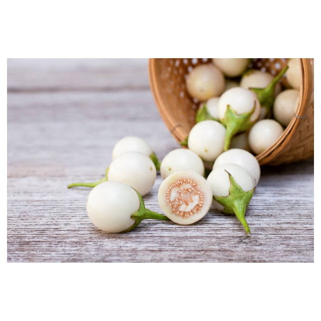 Thai white aubergine