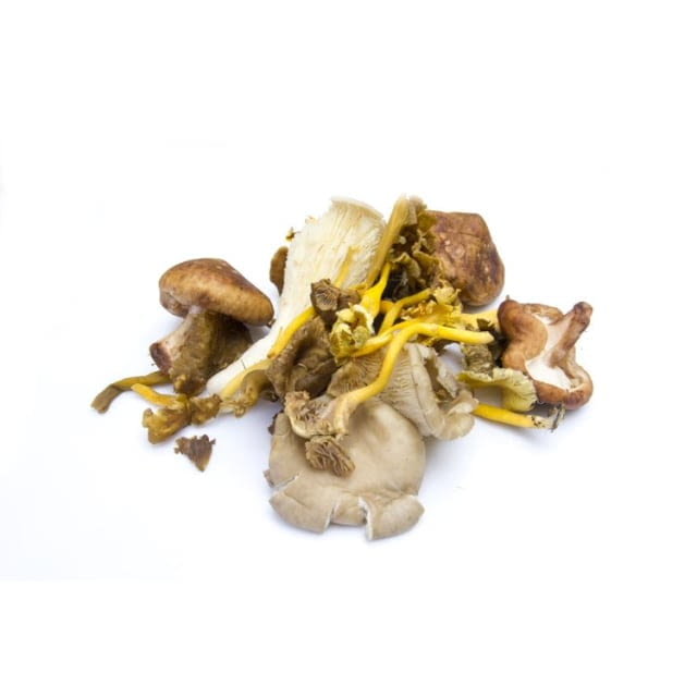 Wild mixed mushroom