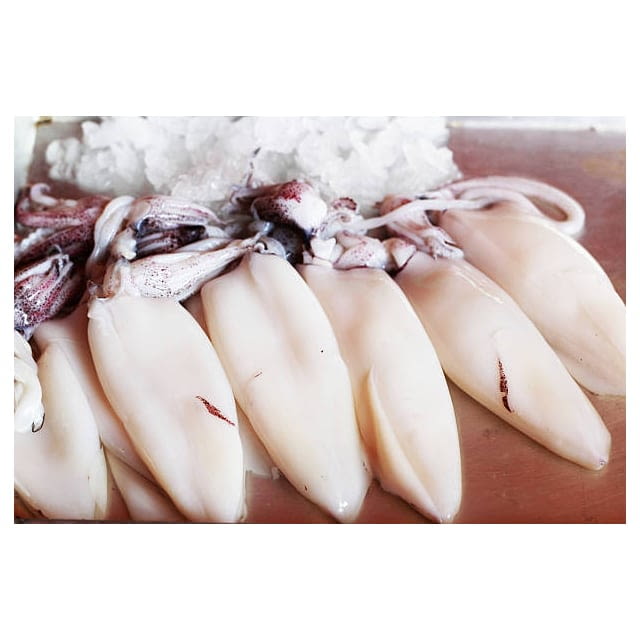 Frozen wild squid todarodes tube and tentacles CAL 5/8 inch