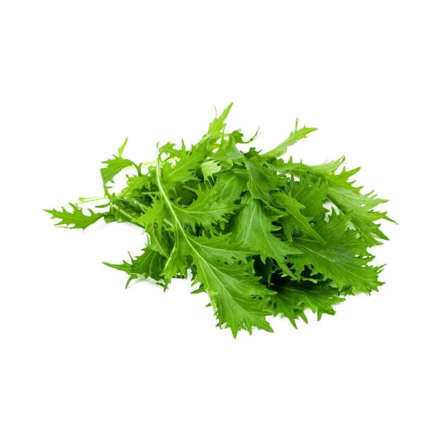 Lettuce mizuna