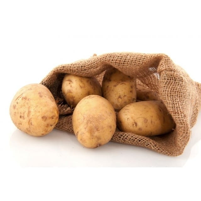 Pomme de terre bintje GT